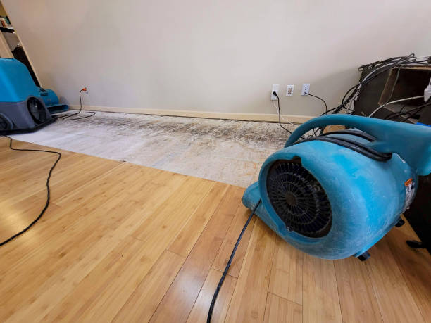 Professional Emergency Water Damage technician working in Cedar Grove, TN